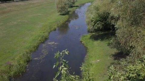River, nature and sun 動画素材 81142383
