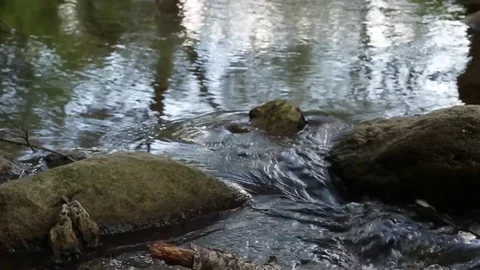 River Nature Day Green Reflection Sky Water Forest Mountain Relax Stock Footage 75800621