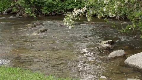 River Nature Day Green Reflection Sky Water Forest Mountain Relax Stock Footage 75800775
