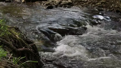 River Nature Day Green Reflection Sky Water Forest Mountain Relax Video stock 75801455