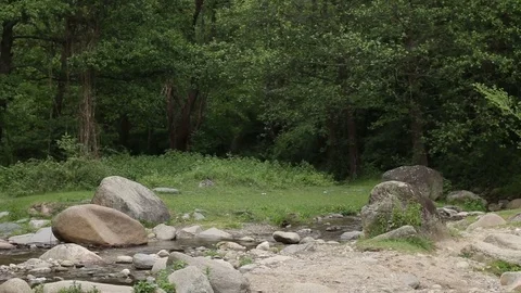 River Nature Day Green Reflection Sky Water Forest Mountain Stones Stock Footage 75801468