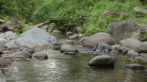 River Nature Day Green Reflection Sky Water Forest Mountain Relax Stock Footage 75810911