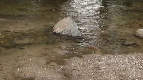 River Nature Day  Reflection Sky Water Forest Mountain Relax Stock Footage 75800198