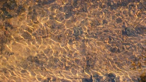 River in the nature in denmark Stock Footage 154621110