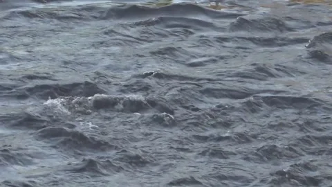 River, nature  Stock Footage 84793908