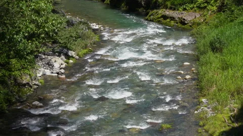 River in nature Stock Footage 157946258