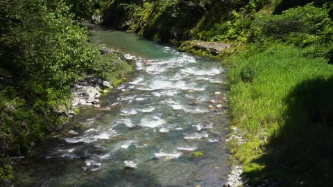 River in nature Stock Footage 157946262