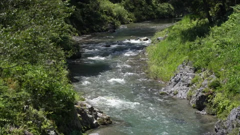 River in nature Stock Footage 157946328