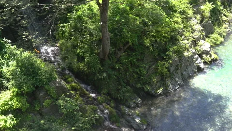 River in nature Stock Footage 157946338