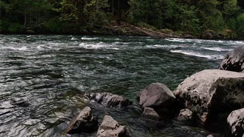 River nature 動画素材 308433194