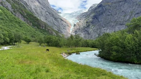 River nature ice briksdalsbreen Video stock 337364572