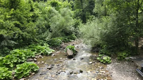 River nature landscape Stock Footage 198058469