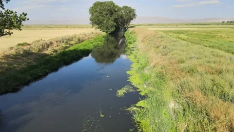 River nature landscape Stock Footage 240753038
