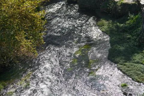 A river in the nature Stock Photos