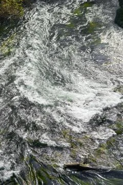 A river in the nature Stock Photos