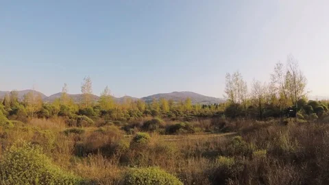 River Nature Smooth Low Fly Above Trees With a FPV Drone Stock Footage 88787895