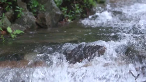 A river near a cliff 库存影片 144857020