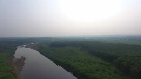 River near forest Stock Footage 131736961