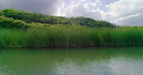 River near the sea Stock Footage 155959357