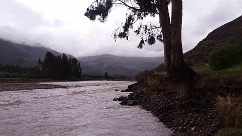 River near tree Stock Footage 97365204