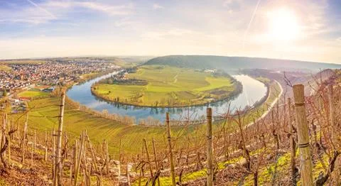 River Neckar - loop in Hessigheim - panorama Stock Photos