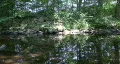 River In New England Forest HD Footage