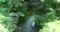 River In New England Forest HD Footage