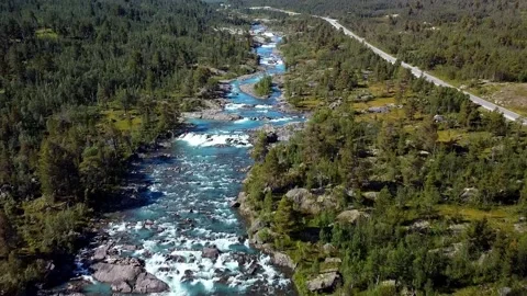 River next to a road Stock Footage 239551826