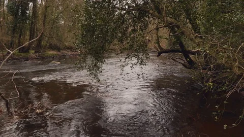 River Nidd Vídeo Stock 126996242