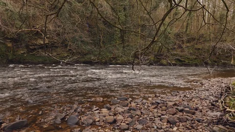 River Nidd Vídeo Stock 126997193