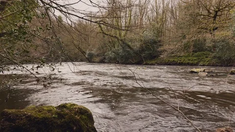 River Nidd Vídeo Stock 127021988