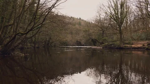 River Nidd Vídeo Stock 127023135