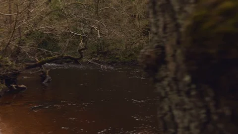 River Nidd Reveal Left Vídeo Stock 126997174