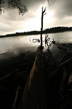 River at night4 Foto stock