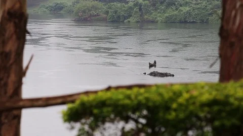 River Nile Stock Footage 76367792