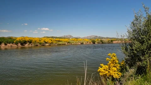 A River in the north  sardinia 動画素材 151154444