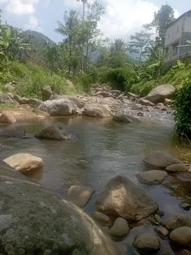 The river is not polluted Fotos Stock