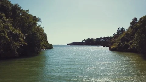 From river to ocean Stock Footage 100764568