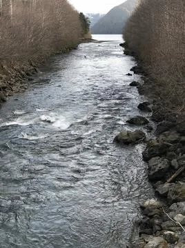 River to Ocean Stock Photos