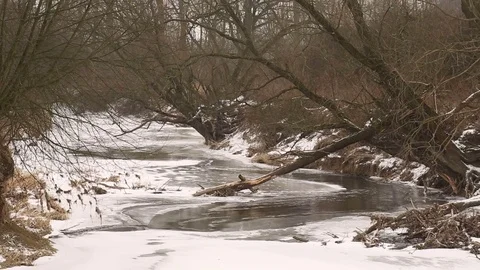 River Odra Oder flowing as inland delta by floodplain forests and ice snow Video stock 83276506