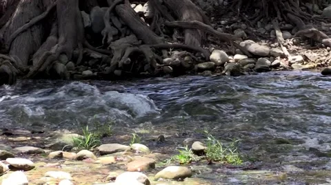 River or clear stream flowing up close from side Stock Footage 53340006