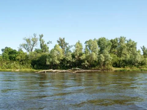 River or pond Stock Photos