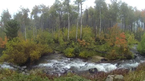 River or Stream in Bighorn Mountains in Fall or Autumn on Cloudy Wet Day Stock Footage 134052965