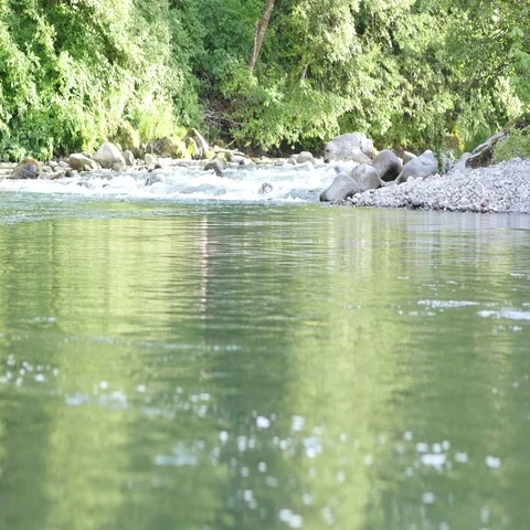 River in Oregon. 4k Footage. Video stock 69320040