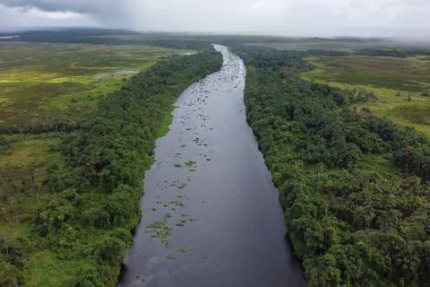 River of the Orinoco Delta Stock Photos