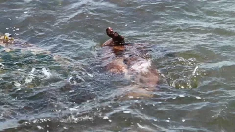 River otter in the wild 動画素材 150982284