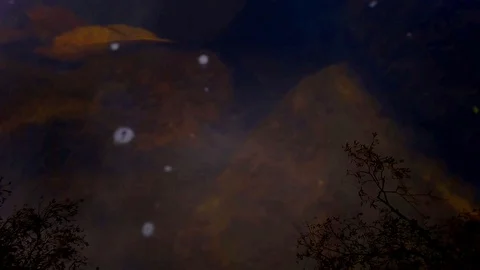 River Ouse York 動画素材 102888158