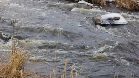 River is over the melting ice in winter 스톡 동영상 125903601