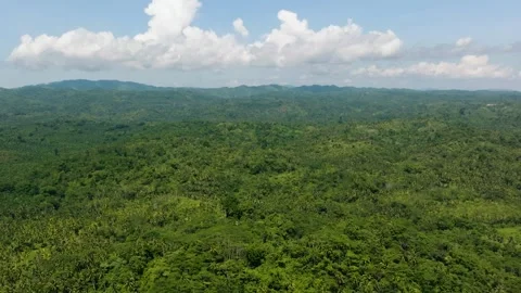 River over the tropical mountain. Philippines. Stock Footage 258558083