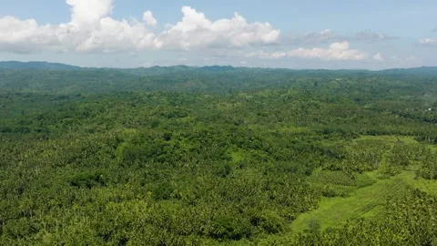 River over the tropical mountain. Philippines. Stock Footage 300839704